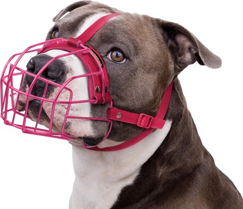 Náhubek pro psy BRONZEDOG Pitbull, prodyšný kovový košík pro velké psy, Amstaff Staffordshire