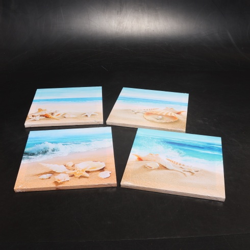 Obraz na plátne Artscope s plážovými mušľami