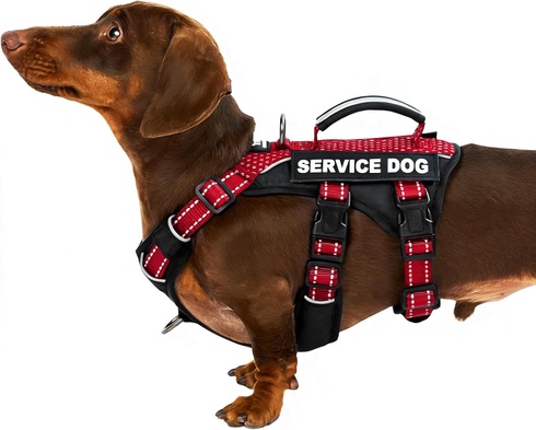 Postroj pre psov Huntboo HD013-Red-S - Vel. S