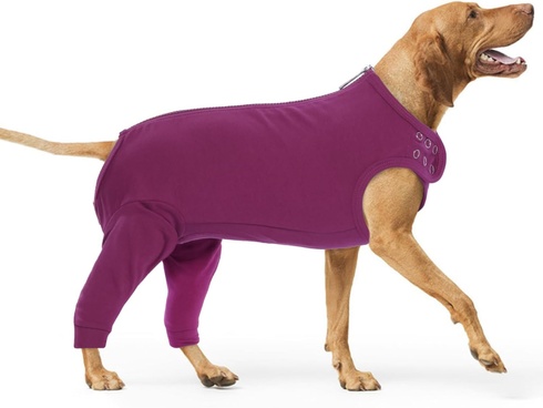 Psí body po operaci PUMYPOREITY, vel. 2XL