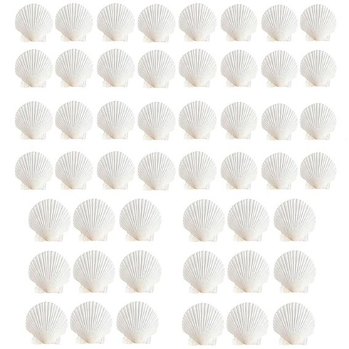 50 kusov mušlí z hrebenatiek, 6-7 cm, prírodné biele mušle, dekorácie z mušlí na maľovanie, vejárové