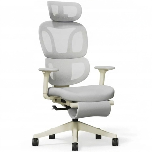 Ergonomická kancelárska stolička s podnožkou BS5WG-F2, 2D opierka hlavy, šedá - N