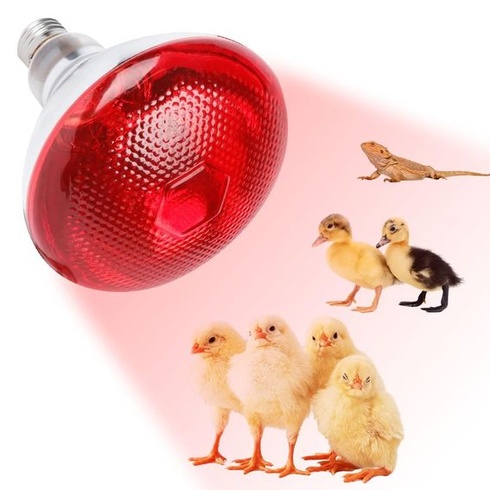 Tepelná lampa pro plazy do terária, 250W žárovka pro plazy, infračervená tepelná lampa s paticí