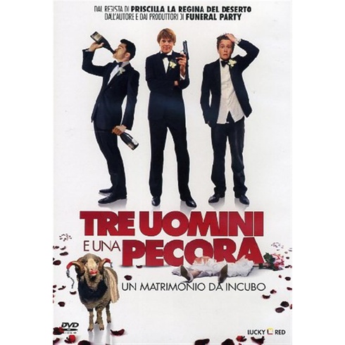 DVD Tre uomini e una pecora