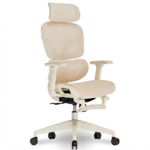 Ergonomická kancelárska stolička BS5W-M2, zo sieťoviny, marhuľa - N