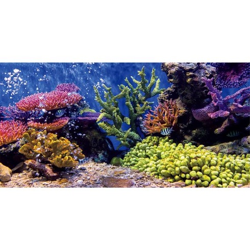 61x30cm odolné vinylové akváriové dekoračné pozadia koralové tropické ryby podvodné akvárium plagát