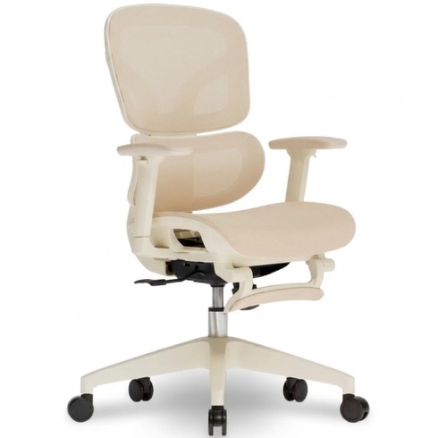 Ergonomická kancelárska stolička BS5W-M2, zo sieťoviny, marhuľa - N
