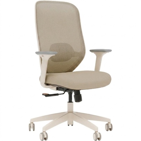 Ergonomická kancelárska stolička C5W-F1, nosnosť až 150 kg, sieťovina, béžová - A