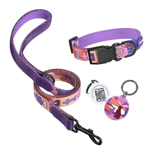 Sada personalizovaného vodítka a obojku pro psy ve stylu Sunrise, nastavitelná, s QR kódem na psí