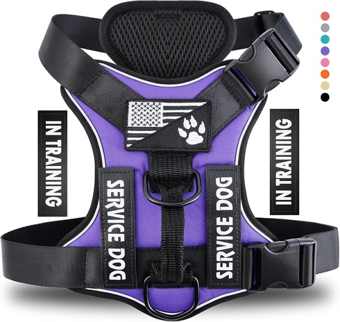 Postroj pre psa Demigreat DG005-Purple-XL