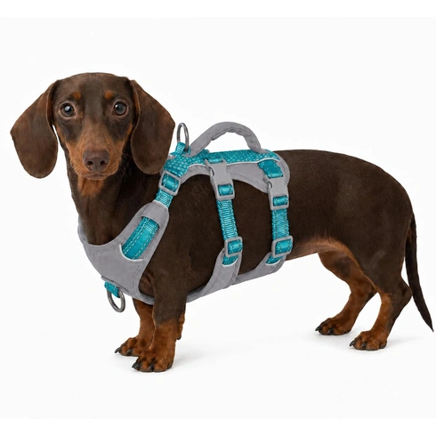 Postroj pre psa Huntboo HD09-Teal Blue-XS XS