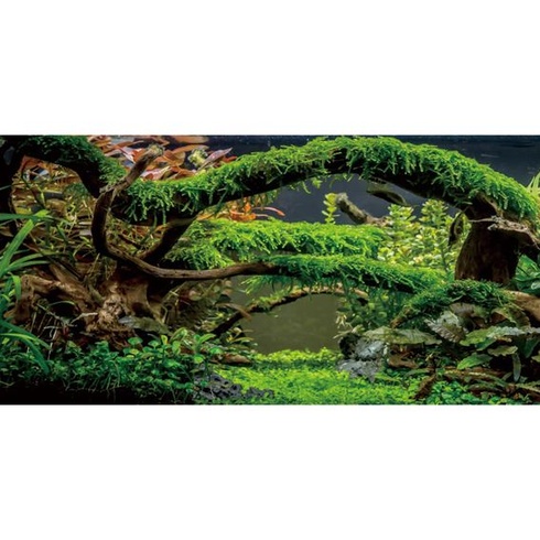 120x50cm pozadie do akvária s vetvami, pozadie do terária, vodná rastlina, koryto rieky a jazero,