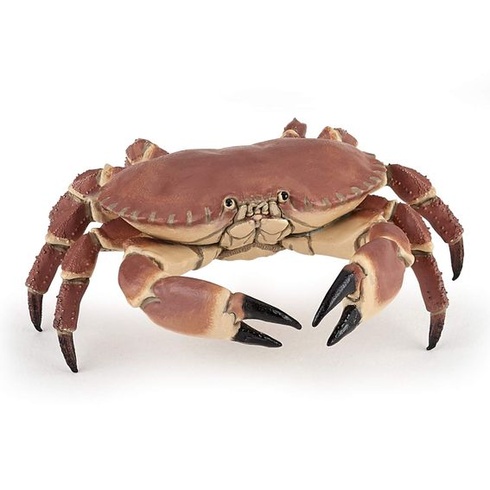 Papo realistická figúrka morského kraba, kolekcia Marine World, vek 3+