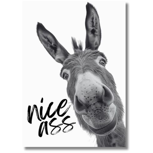 Plakát Casapixo Donkey Nice Ass A3 | 29,7 cm x 42 cm | Nástěnné umění bez rámu | Obrazy do