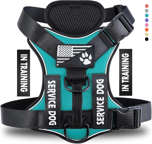 Postroj pre psa Demigreat DG005-Turquoise-XS