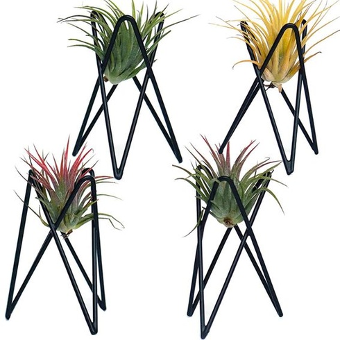 4dielny držiak na vzdušné rastliny Tillandsia, moderný geometrický kovový stojan na vzdušné rastliny,