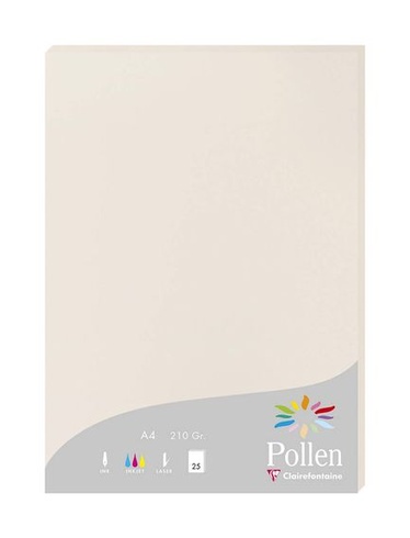 Clairefontaine 24268C - Balenie 25 kariet, peľ, 210 g, DIN A4, 21 x 29,7 cm, šedá.