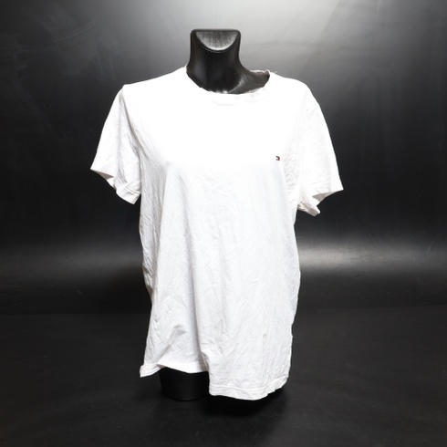 Pánské tričko Tommy Hilfiger MW0MW27539-DW5