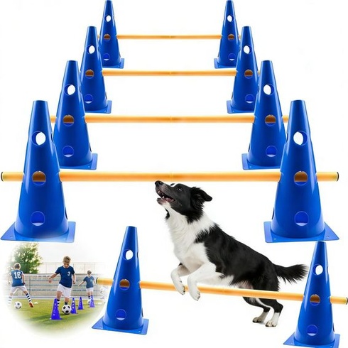 Sada agility pre malé psy, Detské agility tréningové vybavenie, Prekážky pre kone a psie dráhy,
