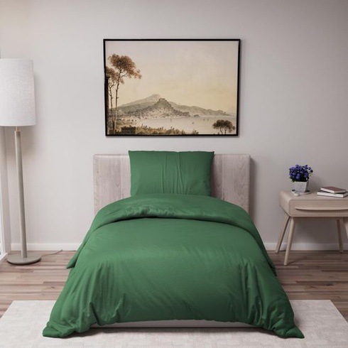 Dreamzie - Ložní prádlo 135x200 + 1 povlak na polštář 50x70cm - Zelené 135x200cm + 1 x povlak na