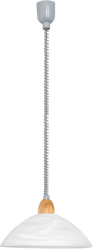 Stropné svietidlo Eglo 87009