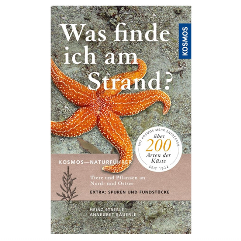 Heinz Streble: Was finde ich am Strand?