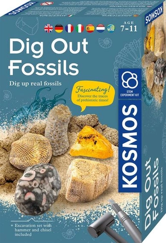 Súprava na vykopávanie fosílií KOSMOS – viacjazyčná_DigOutFossils