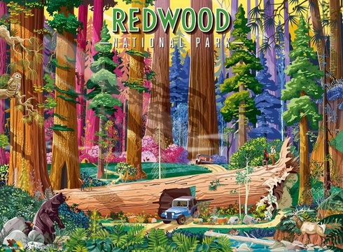 Ravensburger - Puzzle s 500 dielikmi - Národný park Redwood - Dospelí a deti od 12 rokov - Vysoko