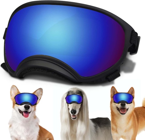 Slnečné okuliare NICERINC PET