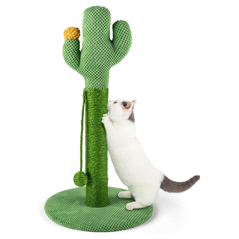 Škrabadlo Mora Pets xrzs 57,9 x 33 cm kaktus