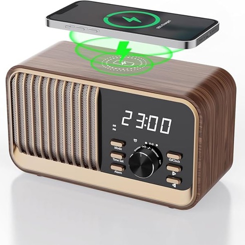 Radiobudík MonoDeal WD700
