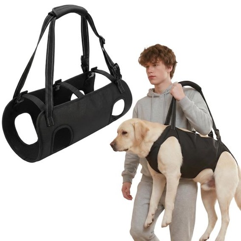 Postroj na prepravku Cartlant hundetragegurt