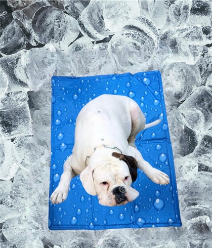Chladiaca podložka pre psov Waggytails