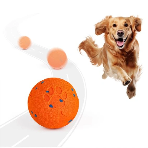 Hračka pre psov All for paws Waggy bouncing