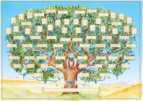 Rodokmenový diagram pro vyplnění plakátu s genealogií 6. generace ...
