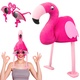 Neer 2dílná sada karnevalového klobouku a brýlí Novelty Party Hat Legrační sluneční brýle Cosplay