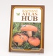 Kniha Kapesní atlas hub