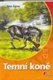 Temní koně
