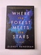 Glendy Vanderah: Where the Forest Meets the Stars