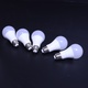 LED žárovky Bulb Type E27