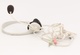 Headset Gembird