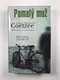 John Maxwell Coetzee: Pomalý muž