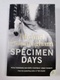 Michael Cunningham: Specimen Days
