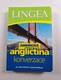 Americká angličtina: Konverzace