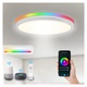 LED stropní světlo Artbrite ‎61829424-01