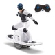 Hoverboard Terra Wheel EU858350