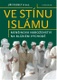 Ve stínu islámu