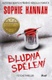 Bludná sdělení
