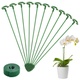 FESSOSKO Balení 10 podpěr pro rostliny, zahradní jednostopkové pevné držáky na rostliny 10,6 palce,