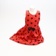 Dětský kostým Lito Angels Ladybug